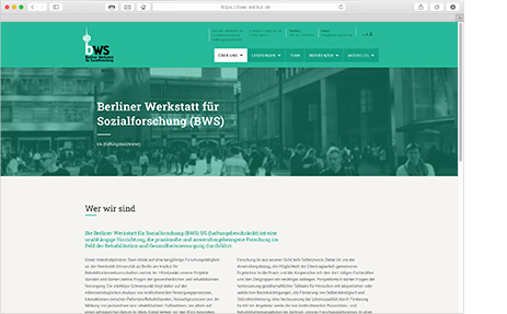 Website BWS Institut Home